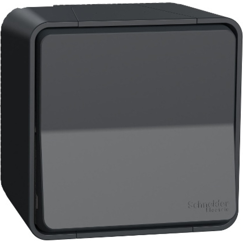 Schneider Electrics Pārslēdzis v/a 10A antracīts IP55 IK08 MUREVA